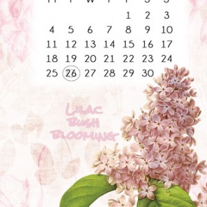 April_cal