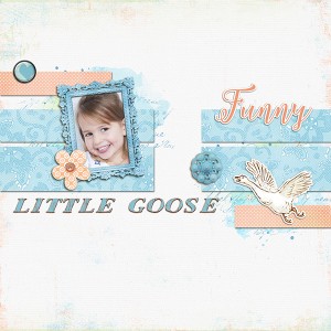 Little Goose