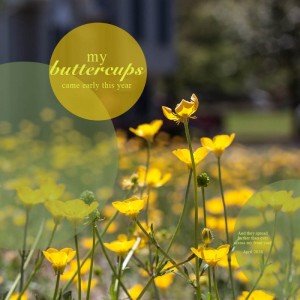 scraplift KarenB - Buttercups