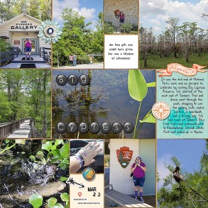 Big Cypress