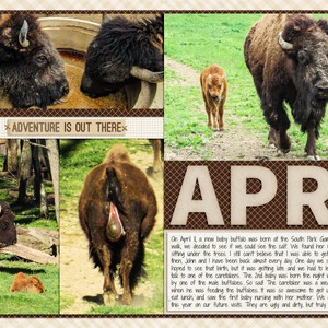 April 2016 - Buffalo