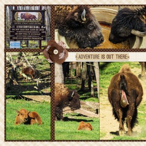 April 2016 Buffalo = left side