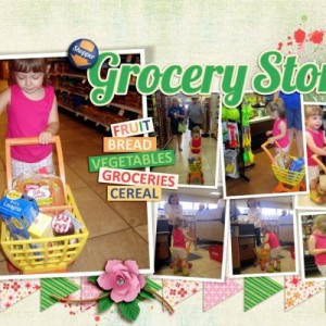Shopping Cart