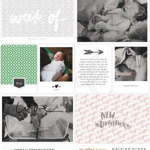 Lincoln's Birth Day_LEFT