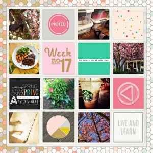 16-wk-17-A