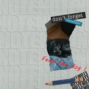 Feed-the-dog-PRD