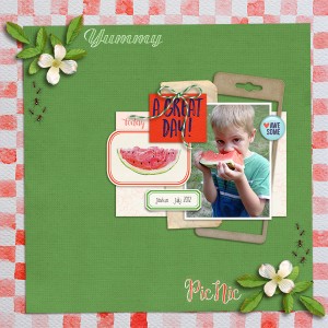 Picnic