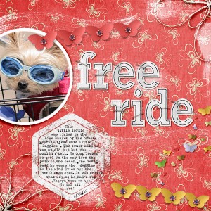 Free Ride