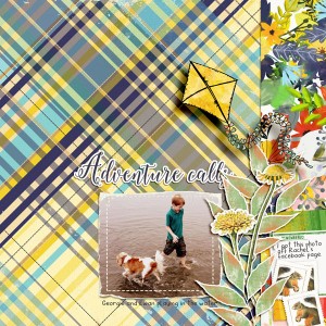 Adventure Calls