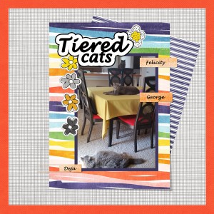 Cats Slow Speed Scrap 5.5 Web
