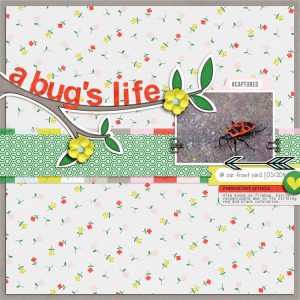 A Bug's Life