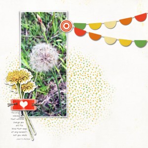 May Photography Challenge: Wishes
