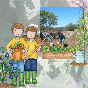 Farmers Garden ( Tony Field)