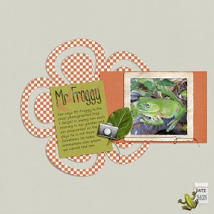 iNSD_5/6 SlowScrap_MrFroggy