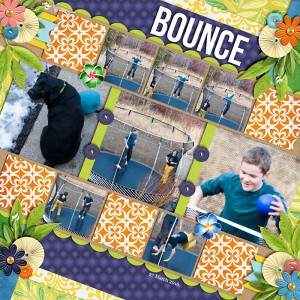Bounce