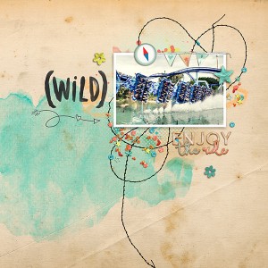Wild