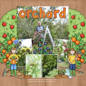 Orchard