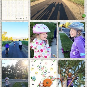 Bike-FHE