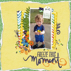 iNSD Slow Scrap 5May