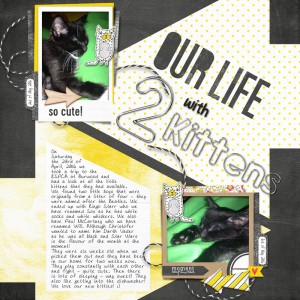 Our Life with 2 kittens - photography challenge