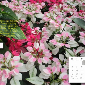 May 2016 Desktop - Journalling challenge