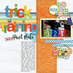 Trick Training