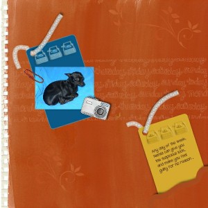 Overlays ( Nemla )