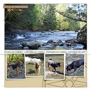 20160430_Trent River upper falls 2