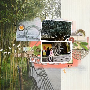 Olive-Tree