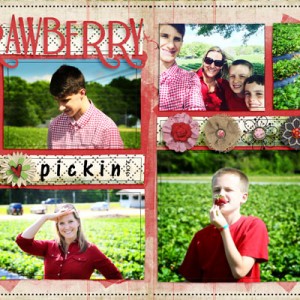 Strawberry Pickin