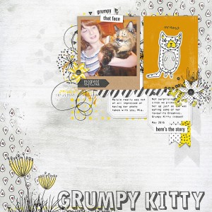 Grumpy Kitty Copy