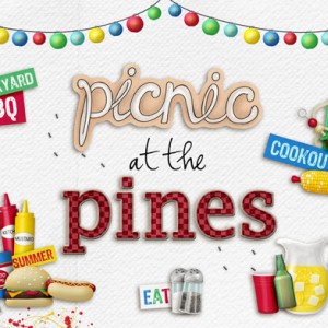 Picnic at the Pines Napkin Holder Card