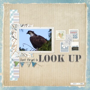 Look Up