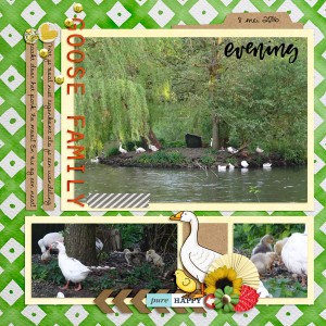 Goose Family