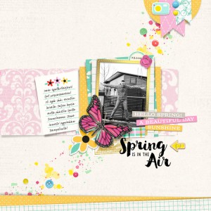 Spring is in the Air
