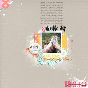 Hello Otter