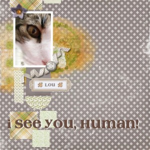 I See You, Human!