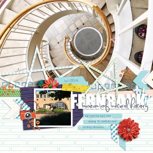 Fernbank Museum