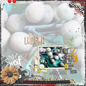 Longan Season