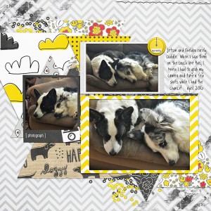 Sheldon and Jetson Cuddle