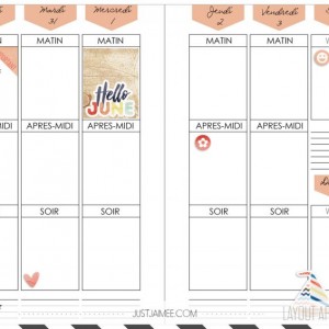 Juin 2016 - semaine 22 - planner