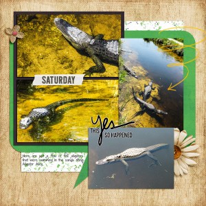 Alligators - left side