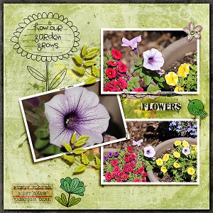 Flowers