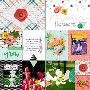 May Flowers