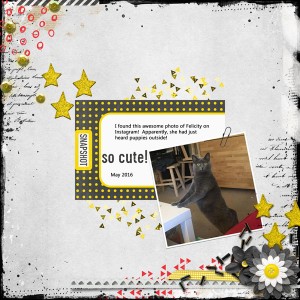 5.25.2016 Slow Scrap