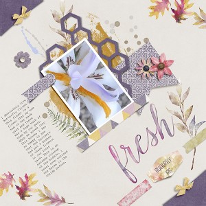 Butterfly Irises