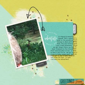 2016-05-k-deer
