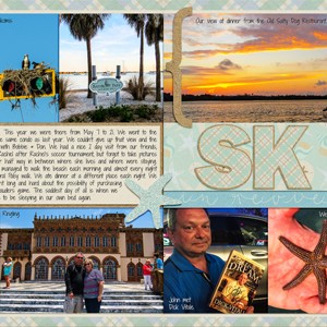 Siesta Key, 2016  in Review