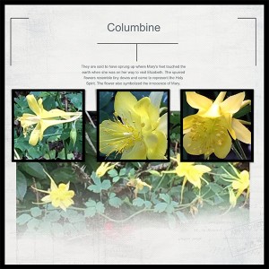 Columbine