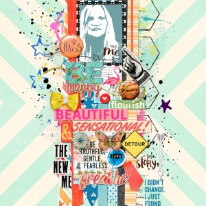 2016-05_May-TLP-Scraplift_web